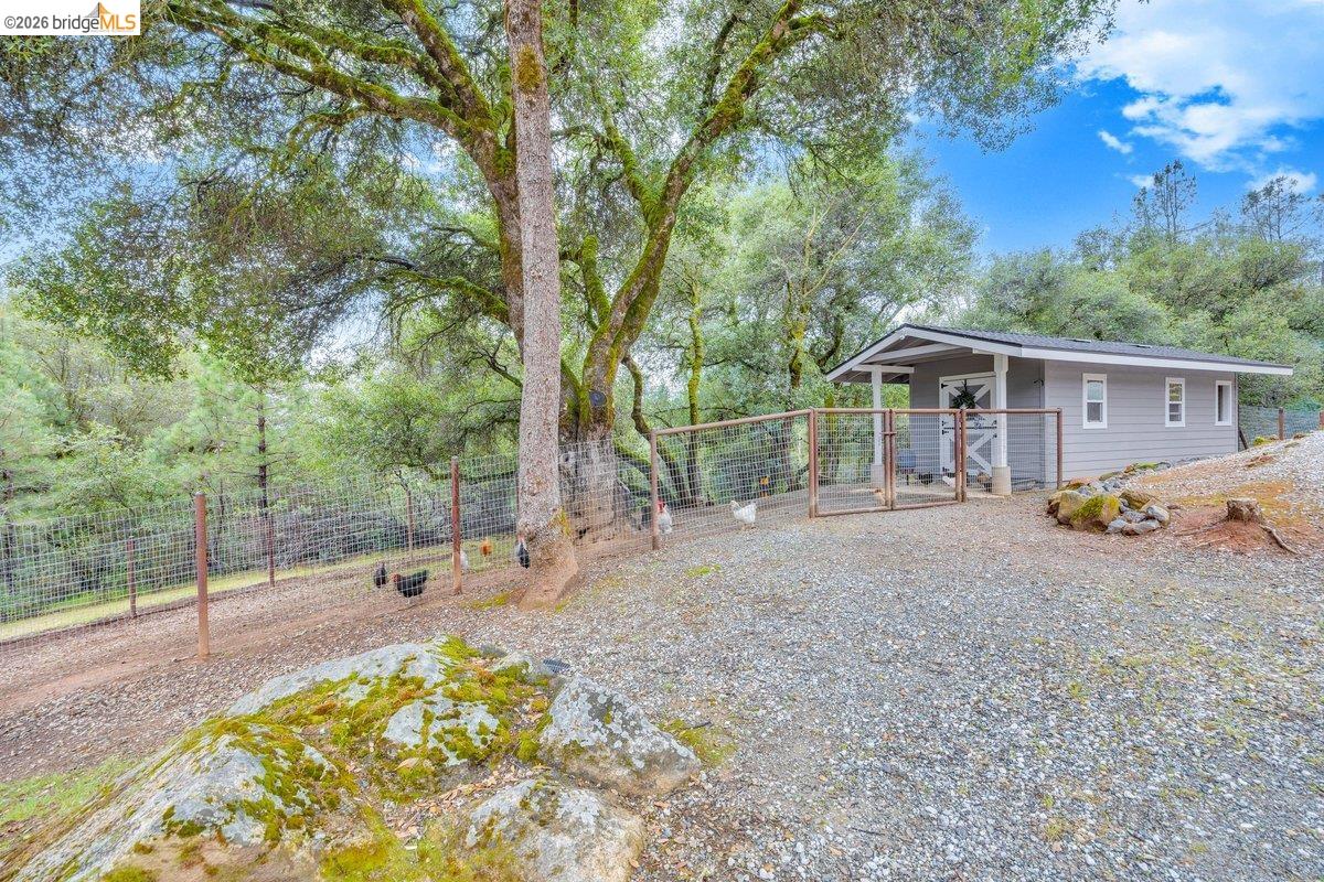 21950 Lyons Bald Mountain Road Sonora, CA 95370 - Photo 65 of 76 a view of a house with backyard and trees