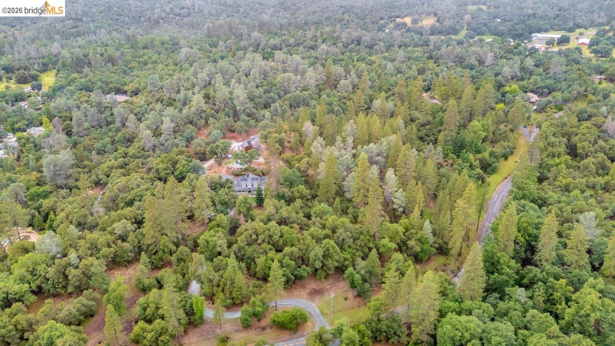 21950 Lyons Bald Mountain Road Sonora, CA 95370 - Photo 75 of 76 a view of a forest with a houses