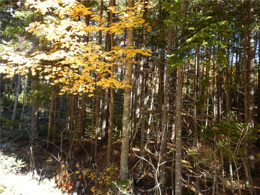 Lot 38 Grand Marsh Bay Road Corea, ME 04624 - Photo 17 of 17 Photo