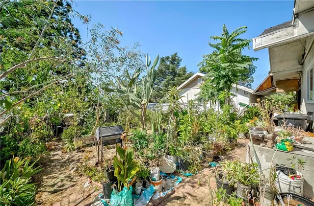 a view of a garden with a tree