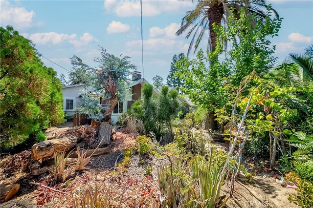 a view of a garden with plants