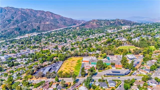 a view of a garden with plants