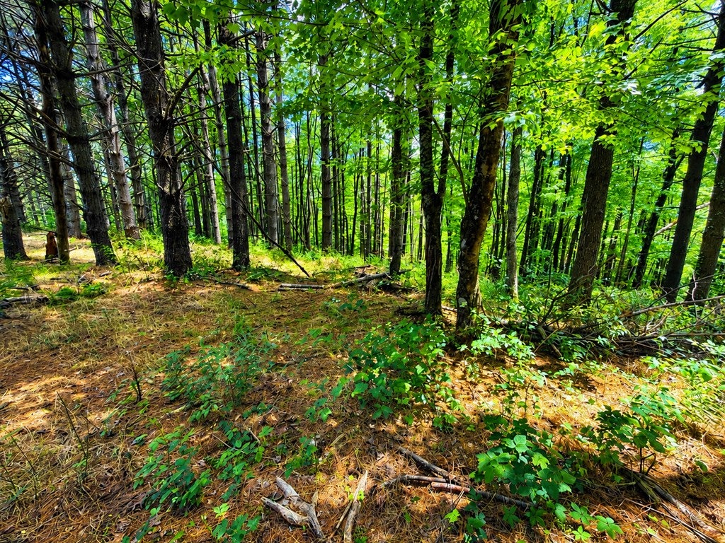 Tbd Shelor Road Southwest, Unit 4 Meadows Of Dan, VA 24120 - Photo 63 of 71 Gallery Image 63