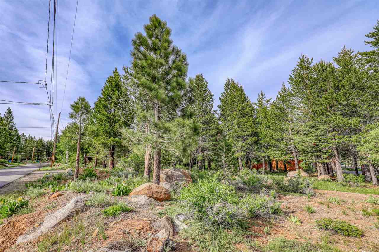 12349 Springbrook Place Truckee, CA 96161 - Photo 17 of 18 Gallery Image 17