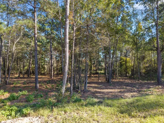 $225,000 | 195 Bunkhouse Road, New Waverly, TX 77358