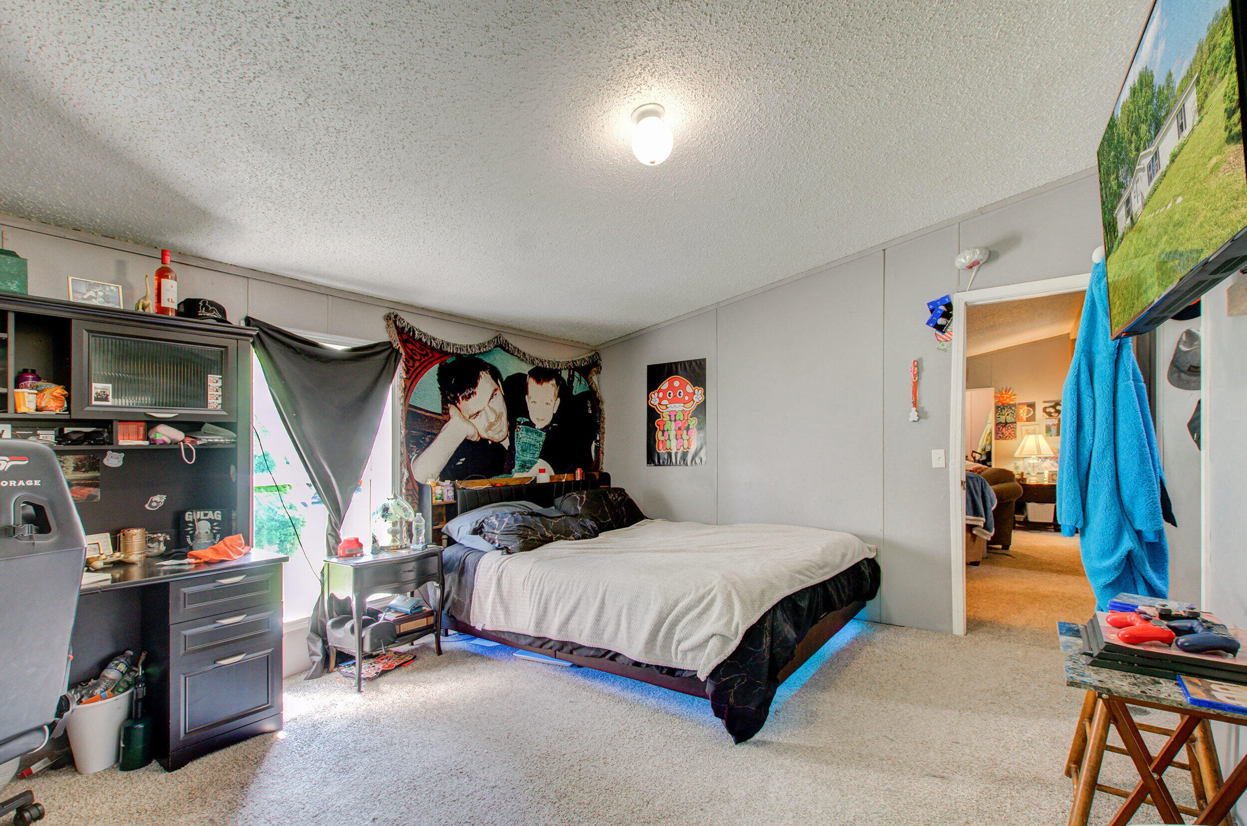 12650 State Road Leslie, MI 49251 - Photo 13 of 24 13