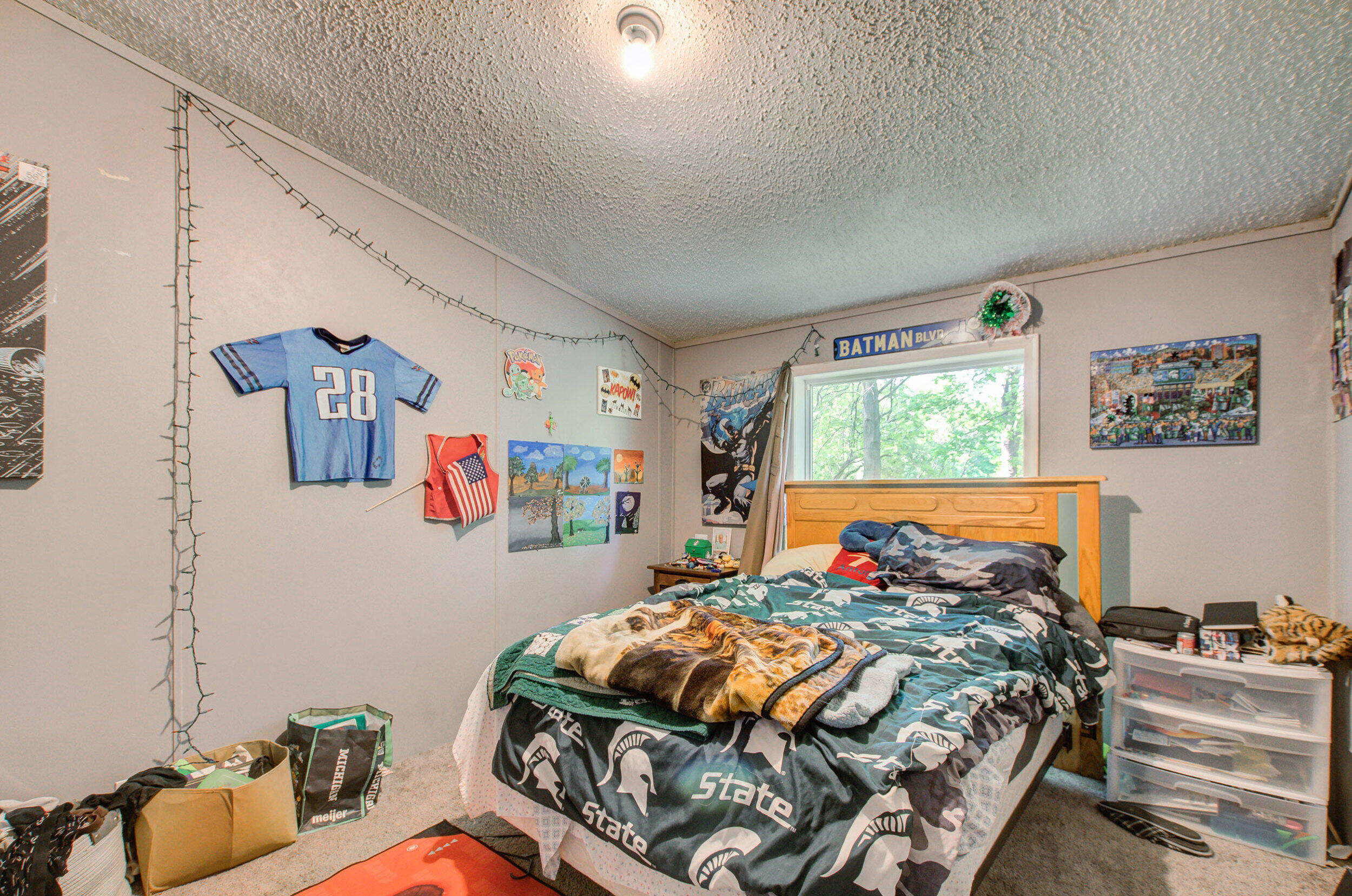 12650 State Road Leslie, MI 49251 - Photo 18 of 24 18