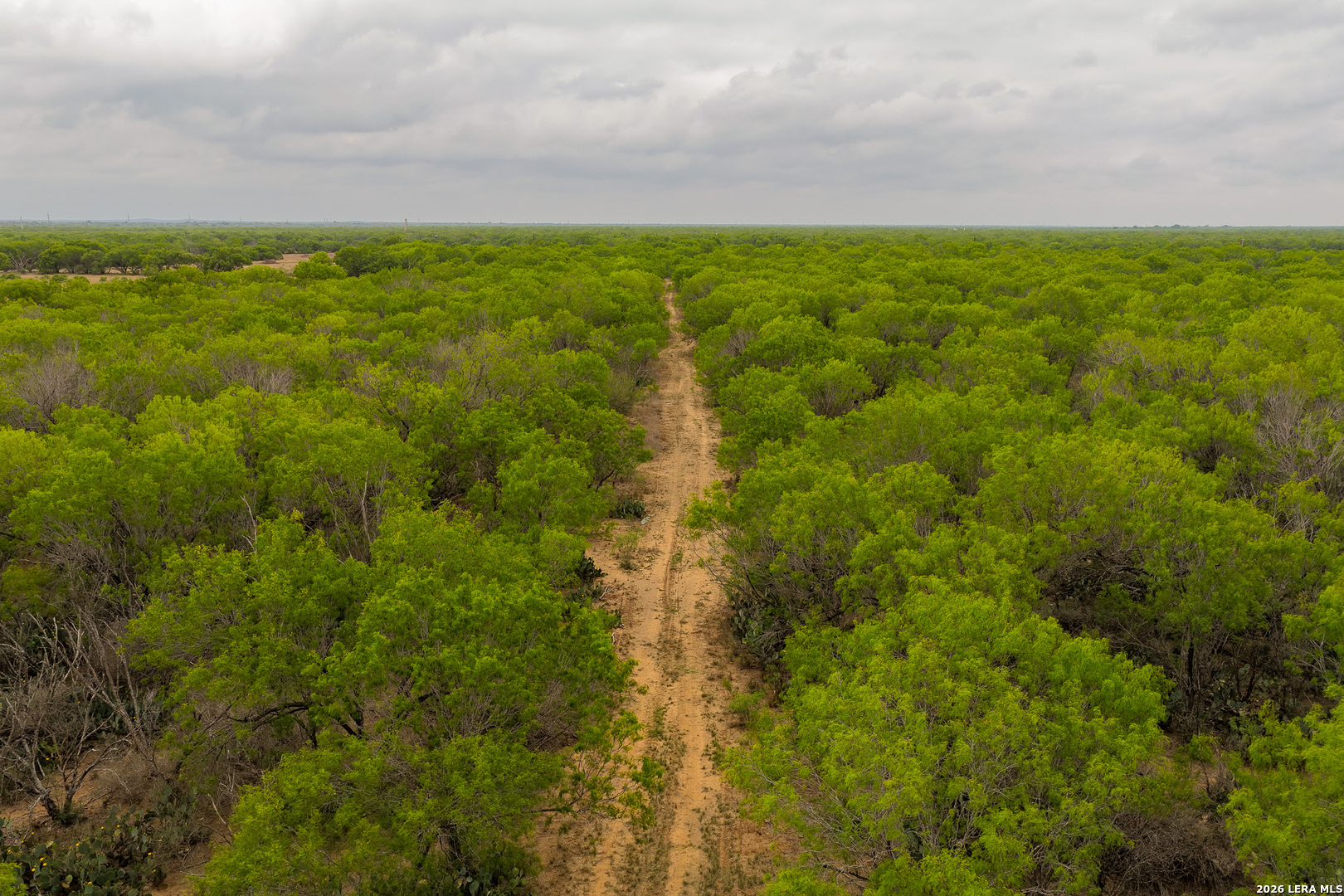 6 Fm 1581 Pearsall, TX 78061 - Photo 13 of 23