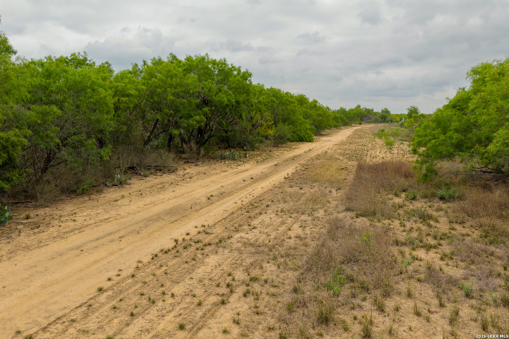6 Fm 1581 Pearsall, TX 78061 - Photo 17 of 23