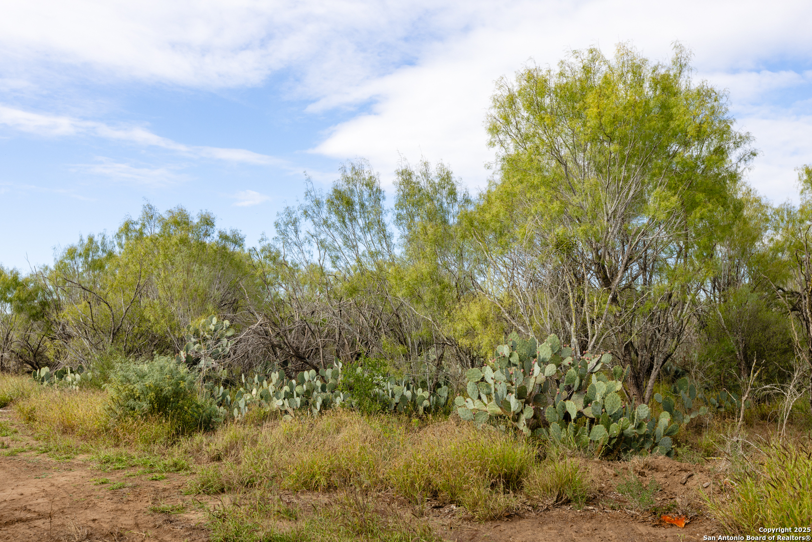 6 Fm 1581 Pearsall, TX 78061 - Photo 2 of 10 a view of a yard