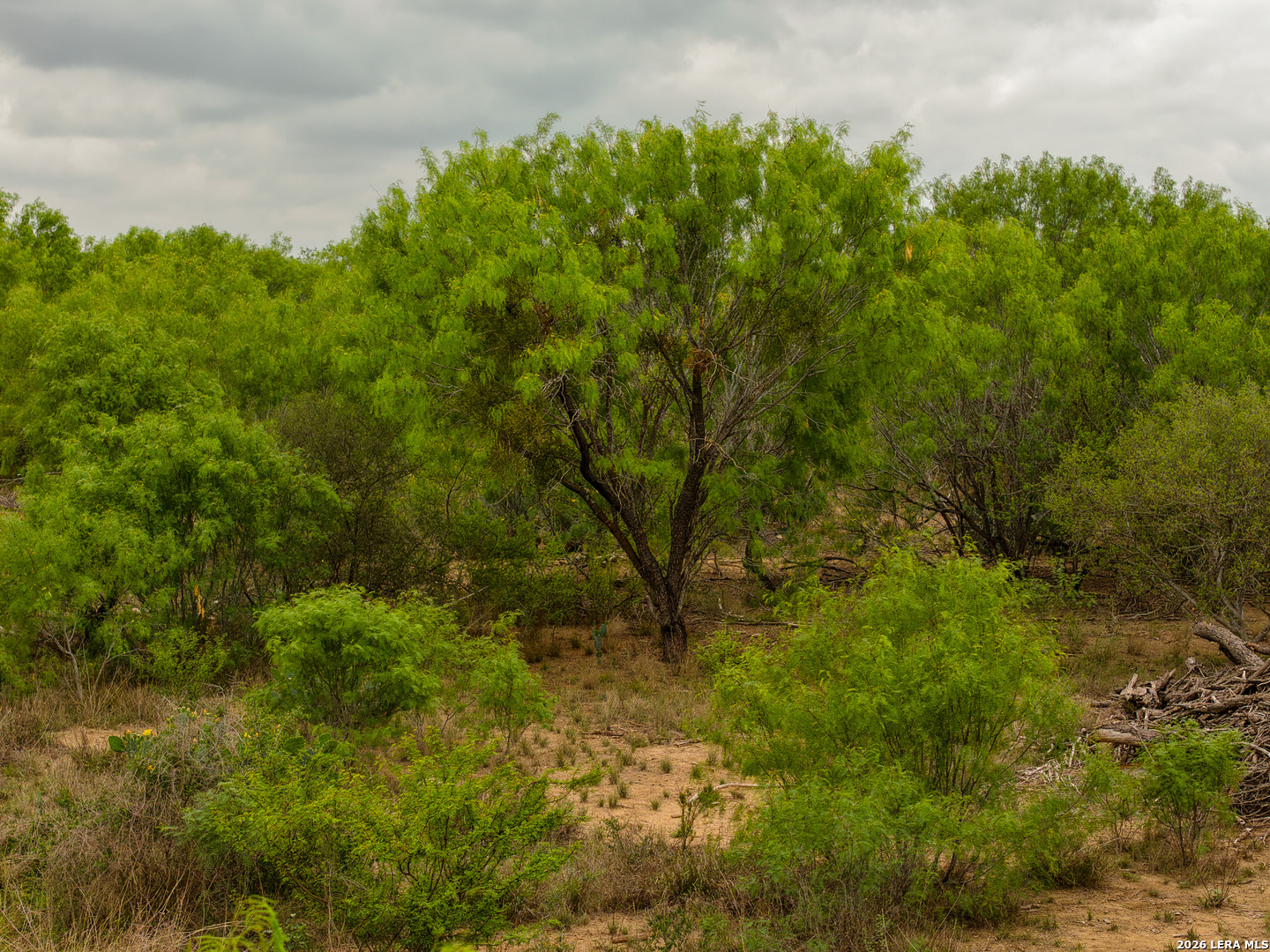 6 Fm 1581 Pearsall, TX 78061 - Photo 21 of 23