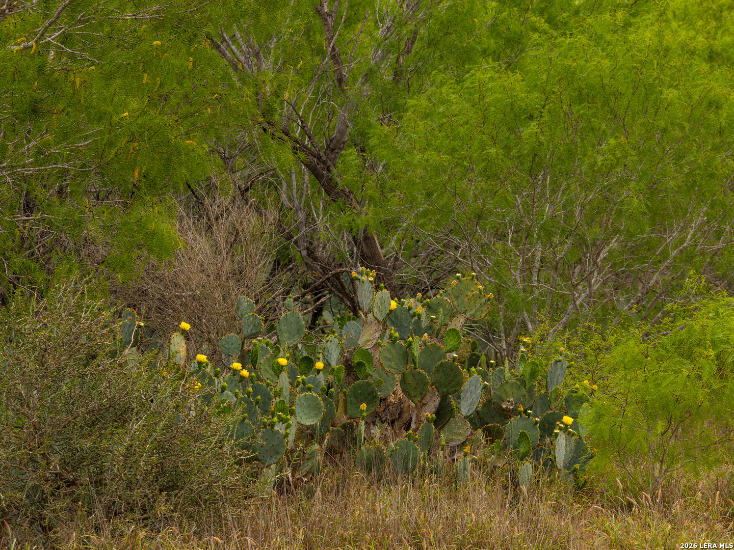 6 Fm 1581 Pearsall, TX 78061 - Photo 22 of 23
