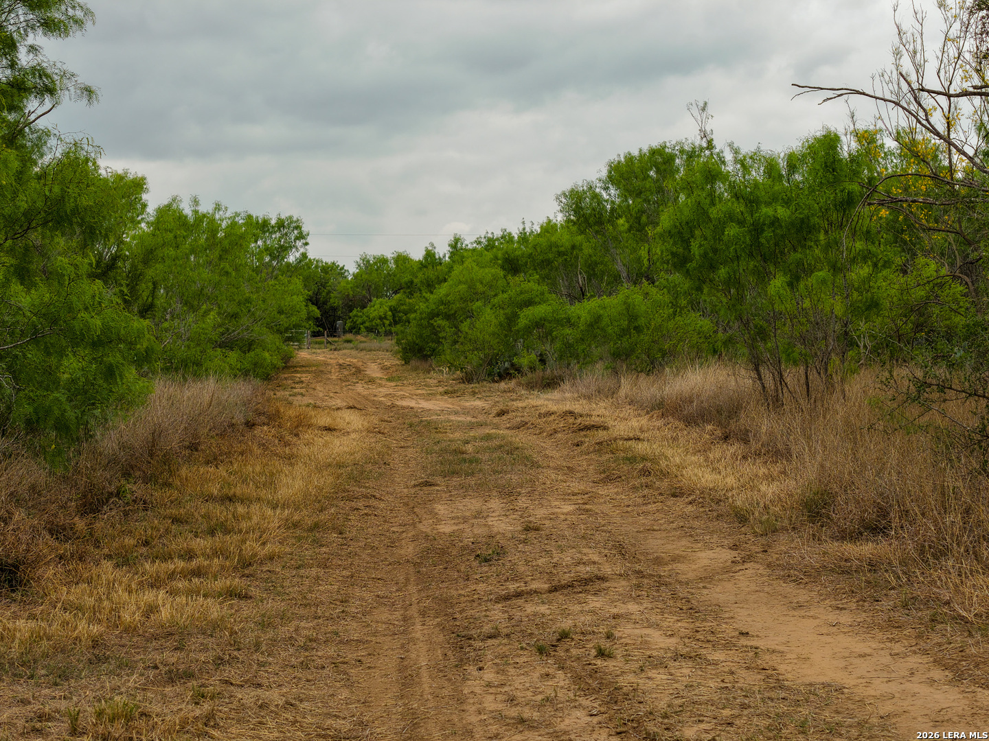 6 Fm 1581 Pearsall, TX 78061 - Photo 3 of 23