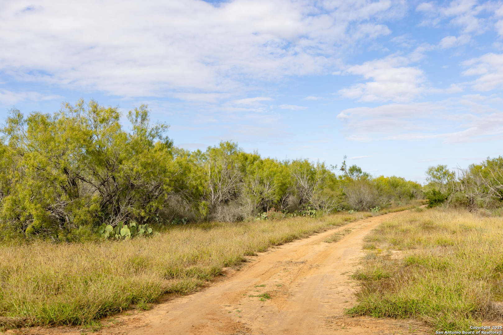 6 Fm 1581 Pearsall, TX 78061 - Photo 4 of 10 a view of lake with mountain
