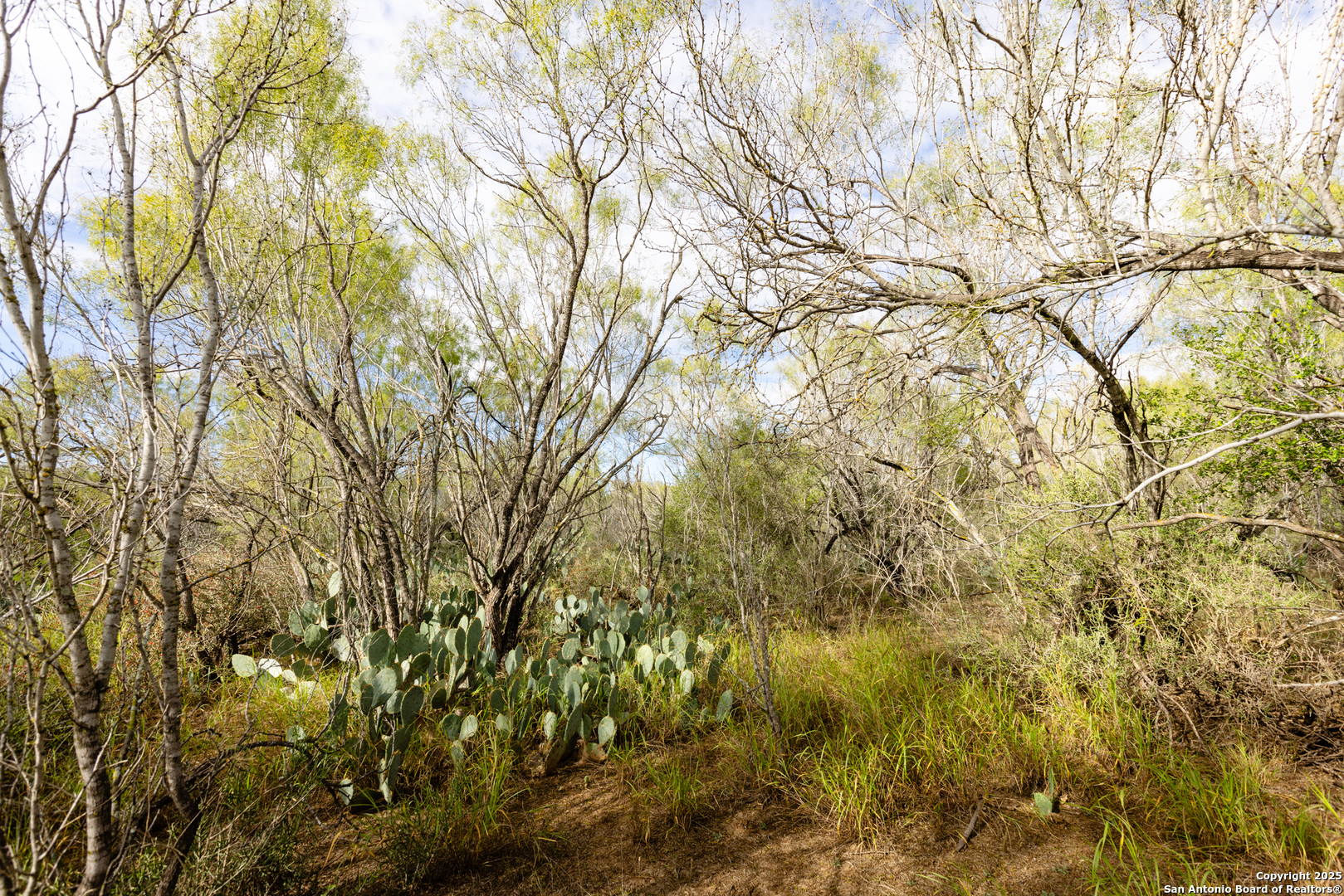 6 Fm 1581 Pearsall, TX 78061 - Photo 5 of 10 a view of a yard