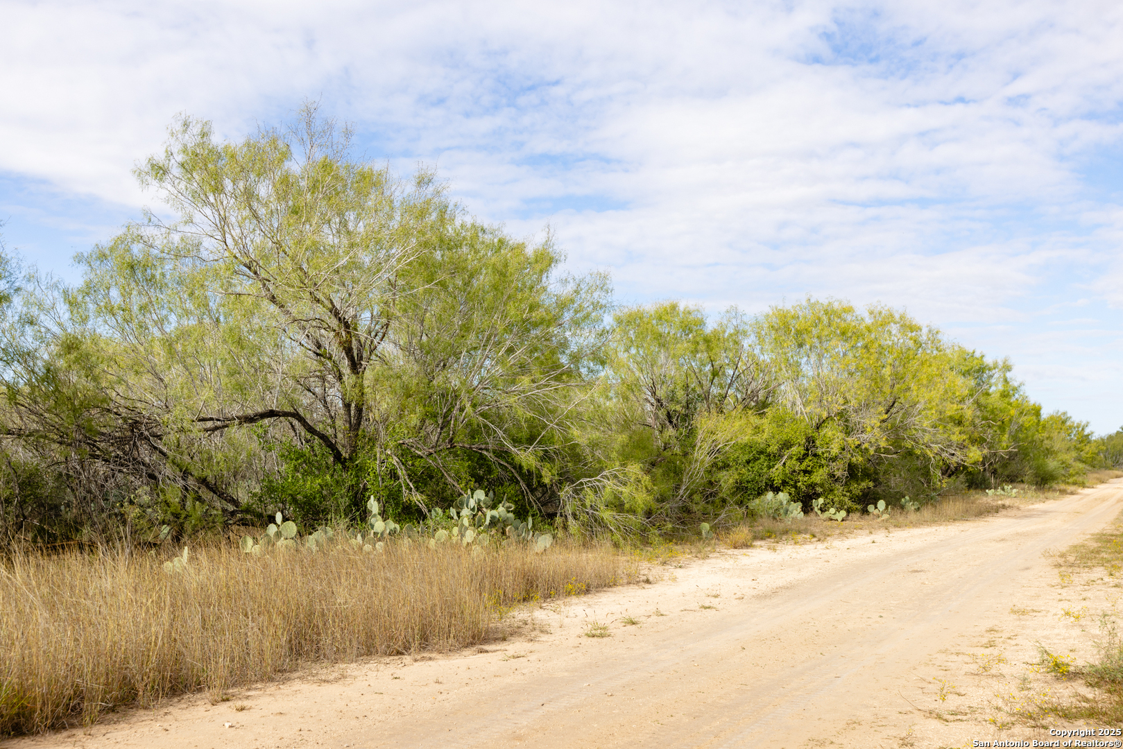 6 Fm 1581 Pearsall, TX 78061 - Photo 6 of 10 a view of a yard