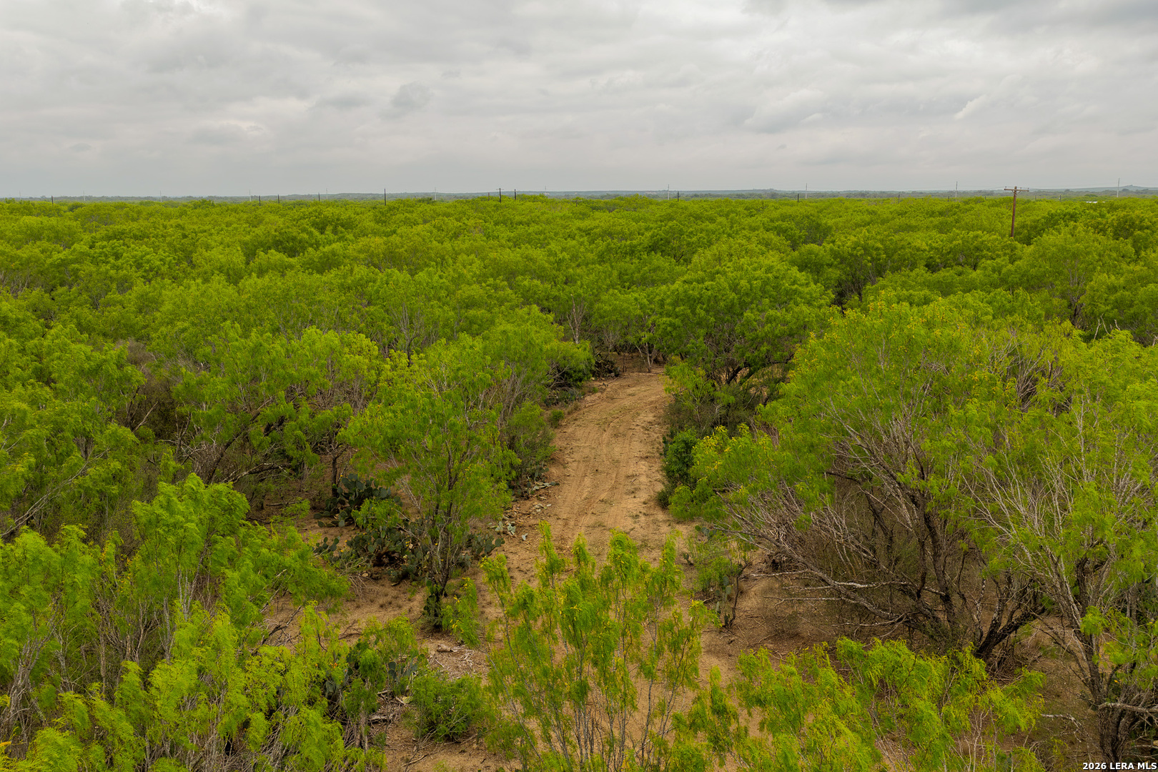 6 Fm 1581 Pearsall, TX 78061 - Photo 8 of 23