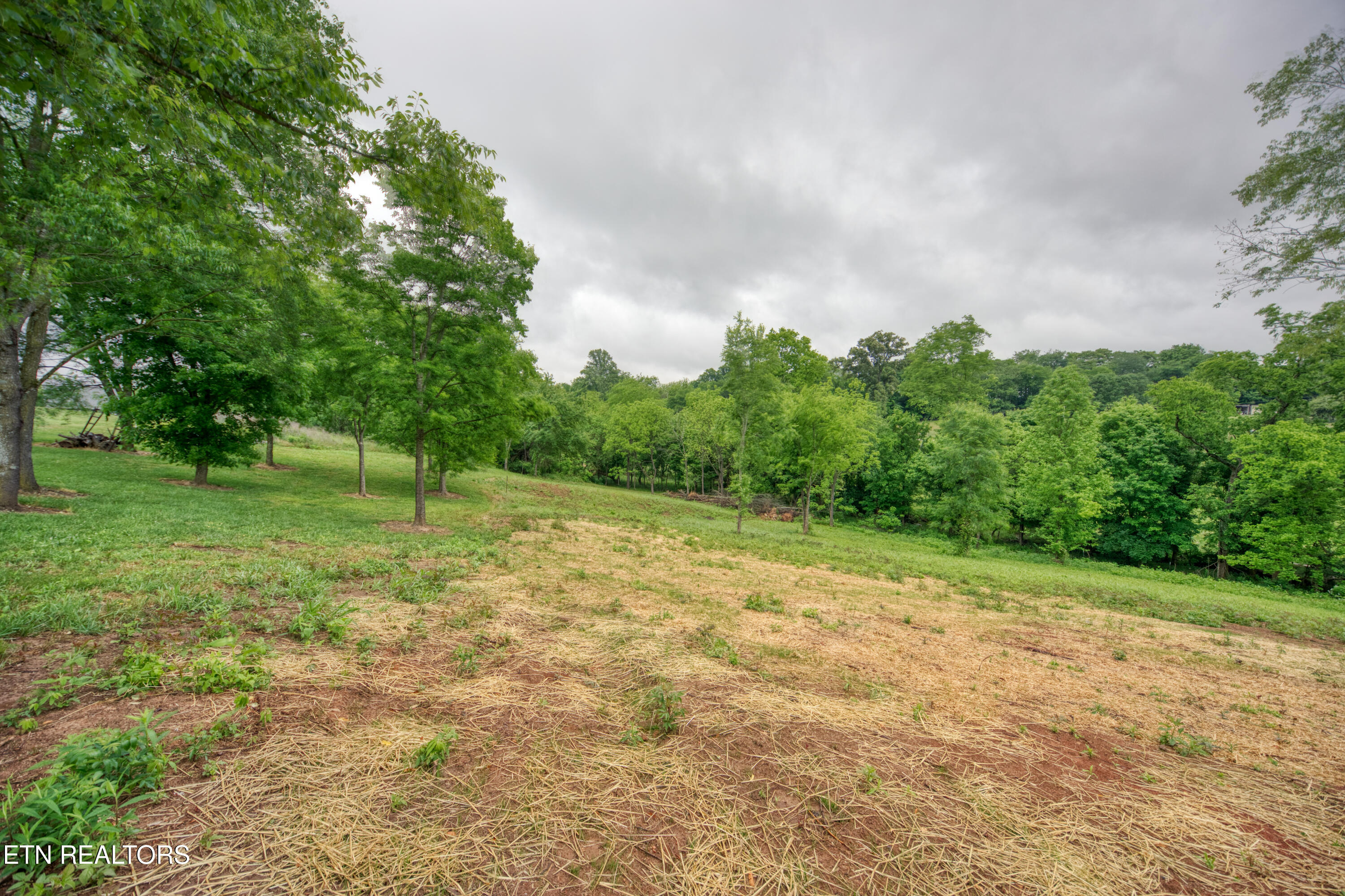 1220 Mitchell Road New Market, TN 37820 - Photo 32 of 46 0H3A8855_26