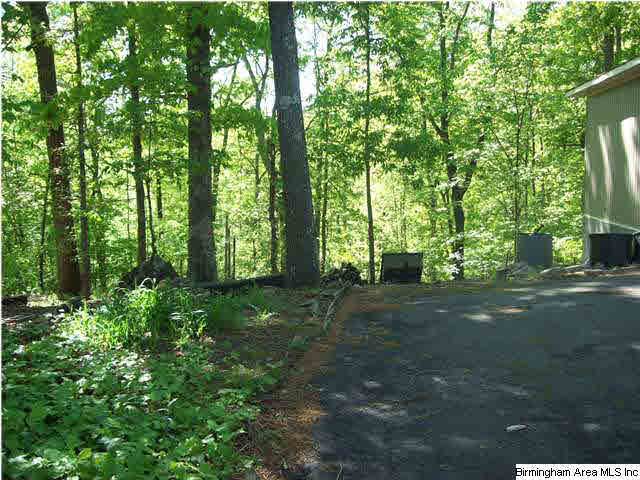 191 Spring Trail Warrior, AL 35180 - Photo 25 of 32