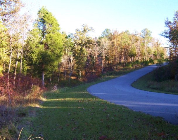 417 Terrapin Pointe Road Hodges, SC 29653 - Photo 20 of 23