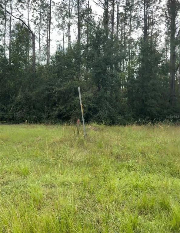 Lake Smith Road Umatilla, FL 32784 - Photo 3 of 5