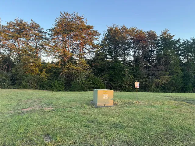 a view of a field with trees