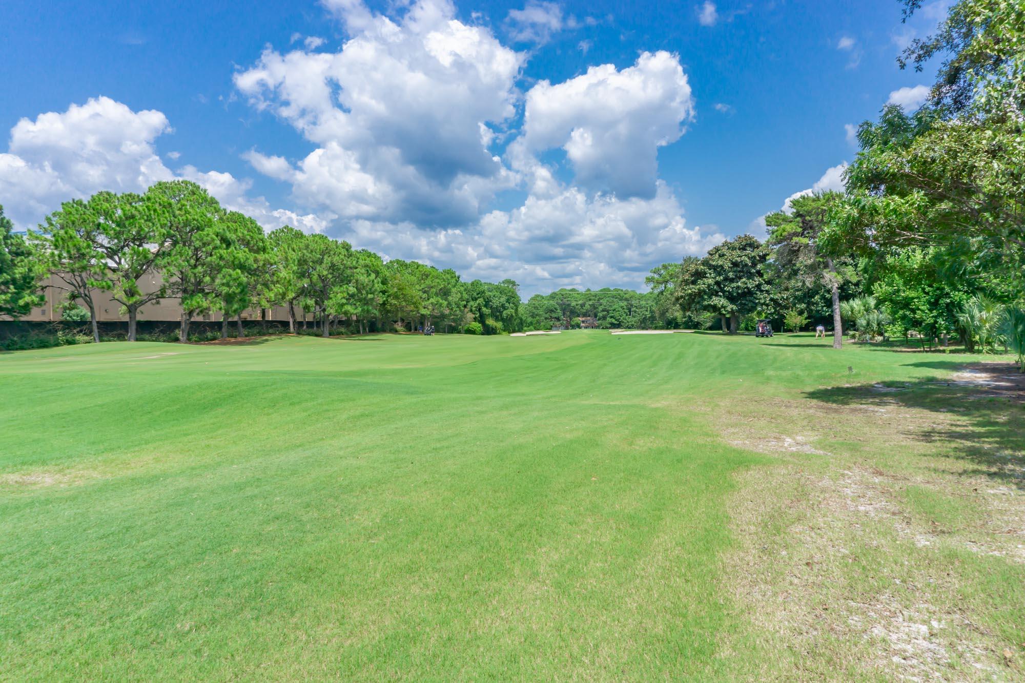 372 Golfview Drive Miramar Beach, FL 32550 - Photo 53 of 66 372 Golfview Ground Master Photos-59