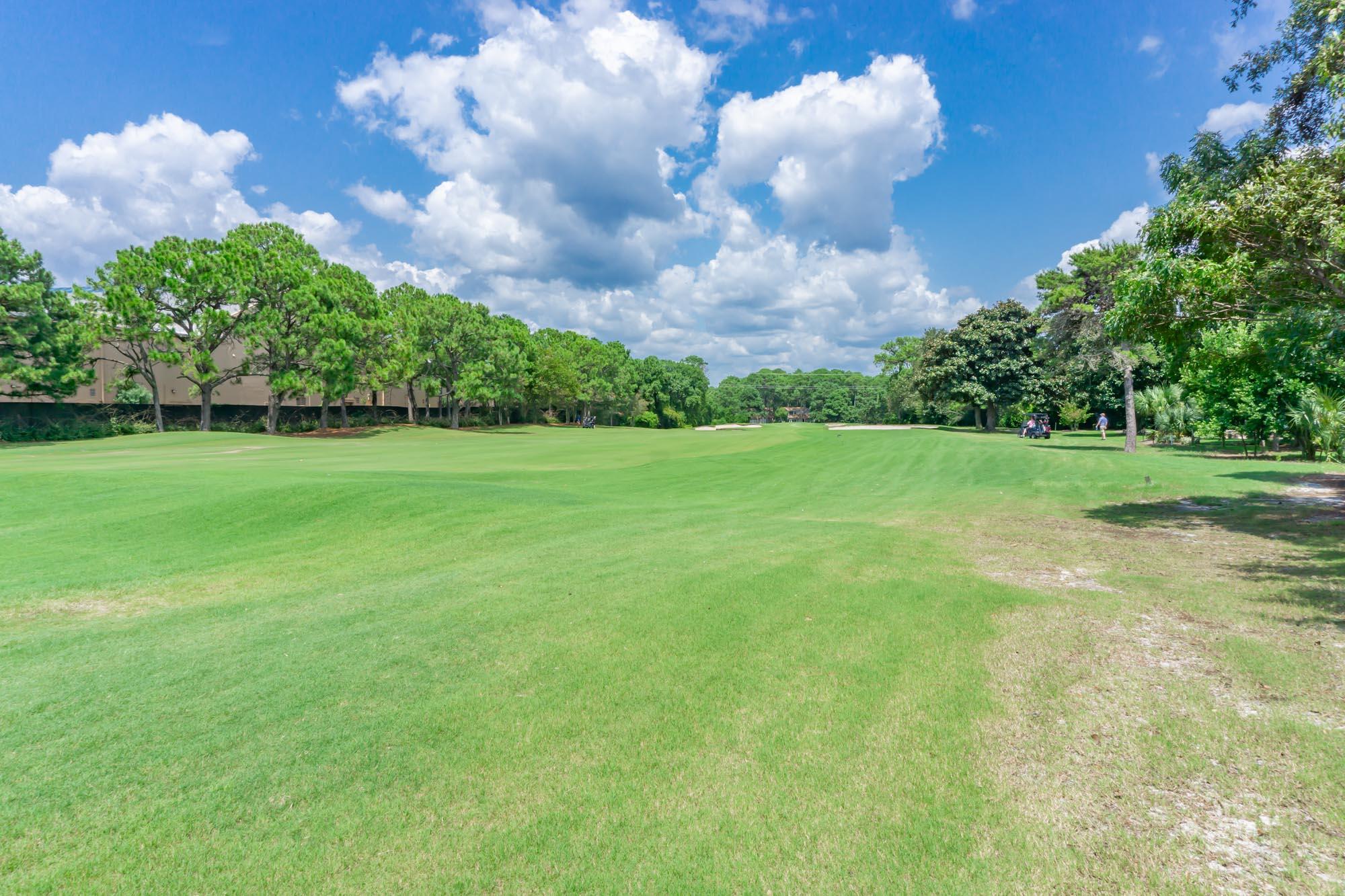 372 Golfview Drive Miramar Beach, FL 32550 - Photo 54 of 66 a view of a big yard with a house