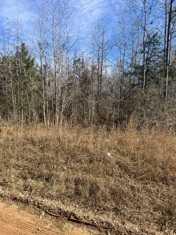 $961,620 | 0 Clanton Road, Evans, GA 30809