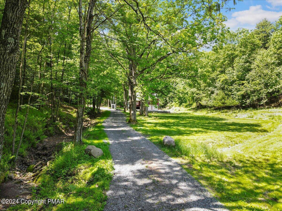 333 Merwinsburg Road Effort, PA 18330 - Photo 6 of 55 Driveway to Home