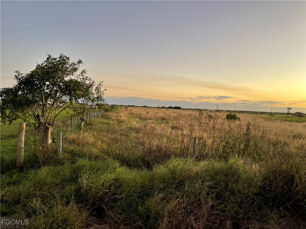 6455 3rd Road LaBelle, FL 33935 - Photo 4 of 7