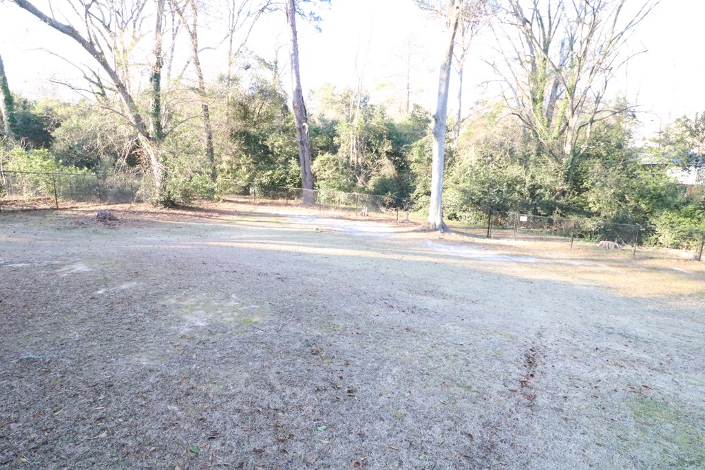 7 Primrose Court Columbus, GA 31907 - Photo 26 of 37 a view of a yard with large trees