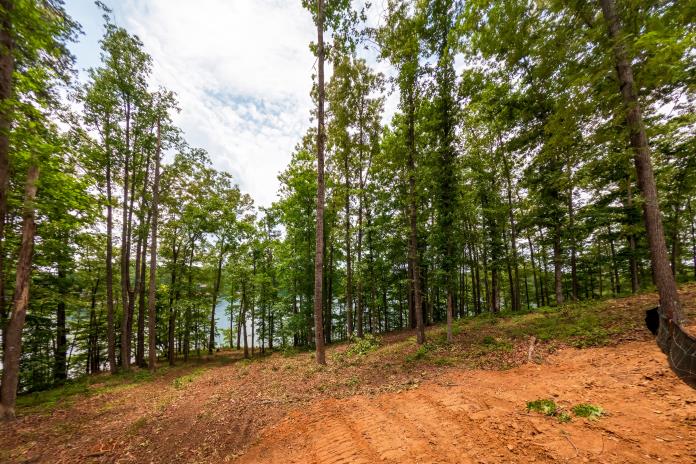 4 Warpath Ridge Trail Six Mile, SC 29682 - Photo 13 of 16 Wooded lot with lake views, perfect for a private retreat.