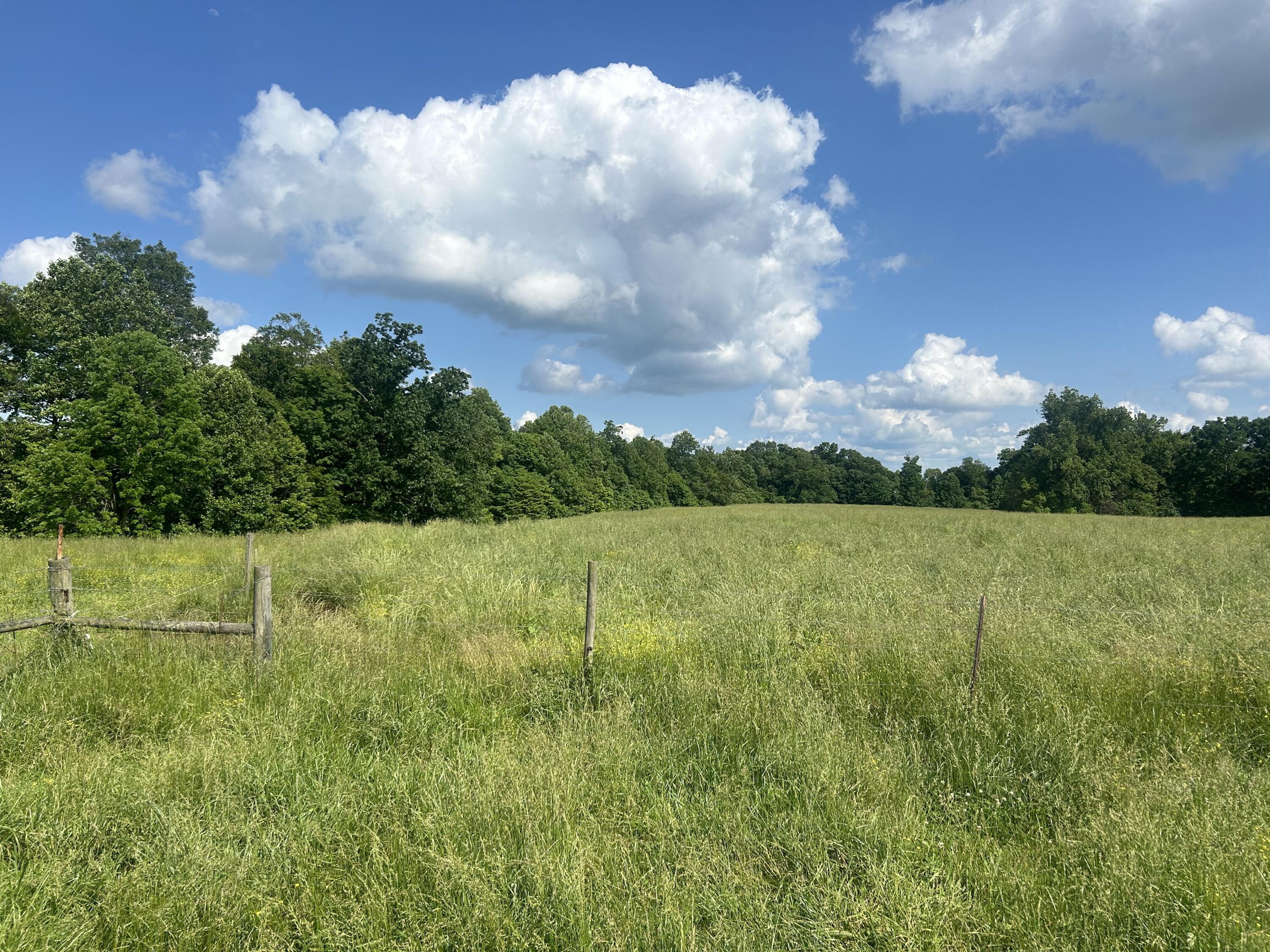 9999 Gosser Ridge Road Russell Springs, KY 42642 - Photo 29 of 42 Farm Russell 23