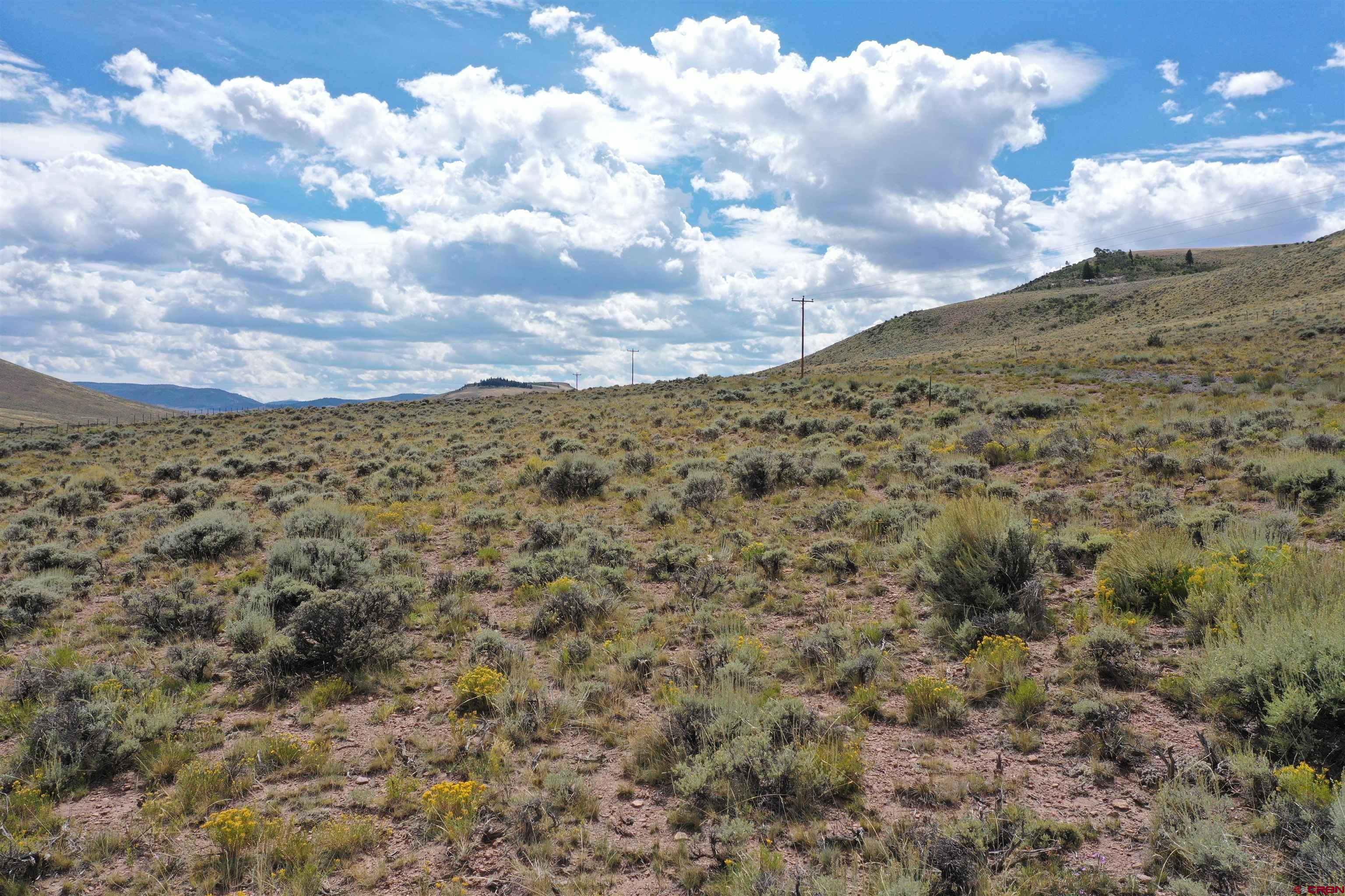 294 Spring Drive Gunnison, CO 81230 - Photo 15 of 15 a view of a dry yard with lots of trees