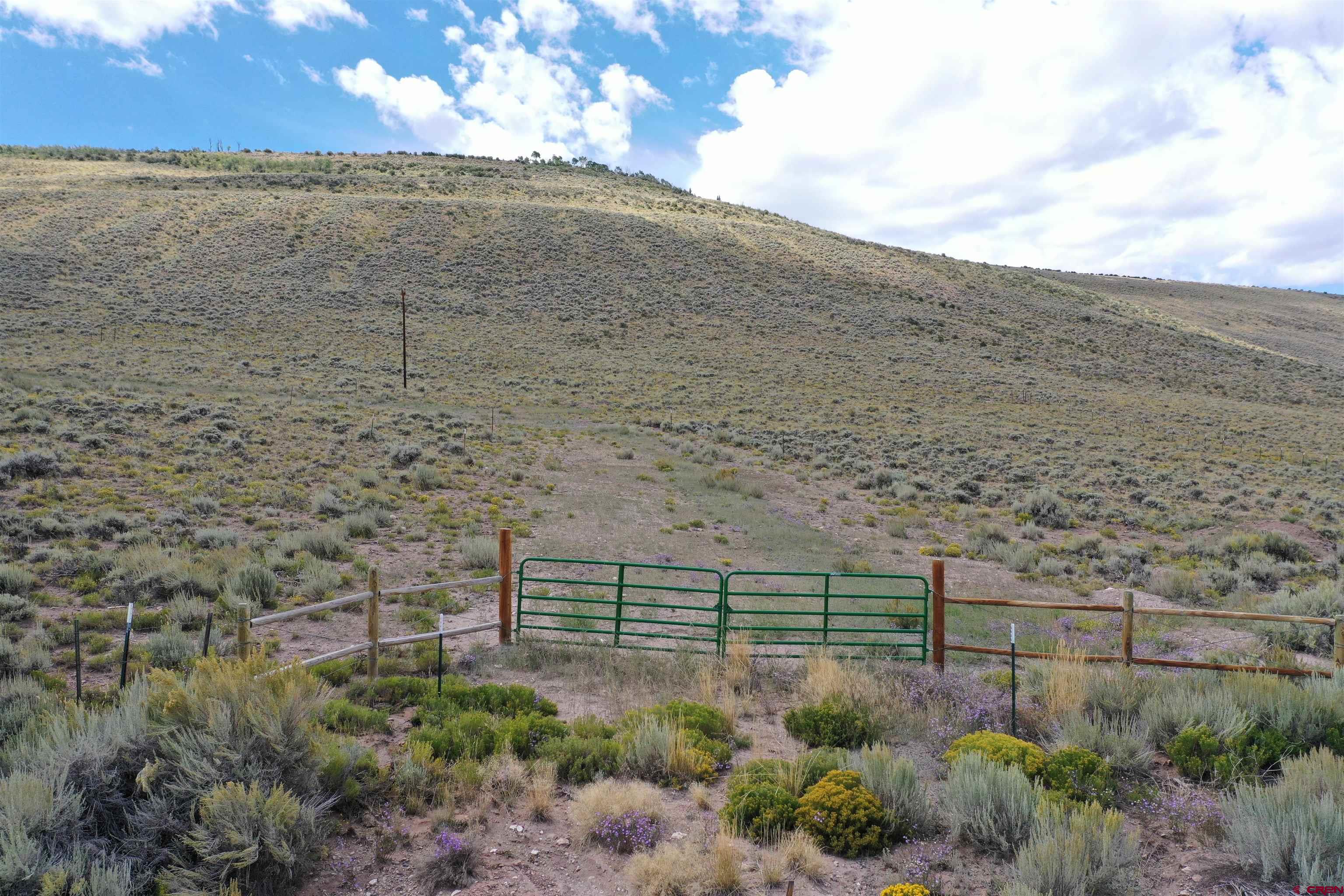 294 Spring Drive Gunnison, CO 81230 - Photo 2 of 15 a view of a backyard