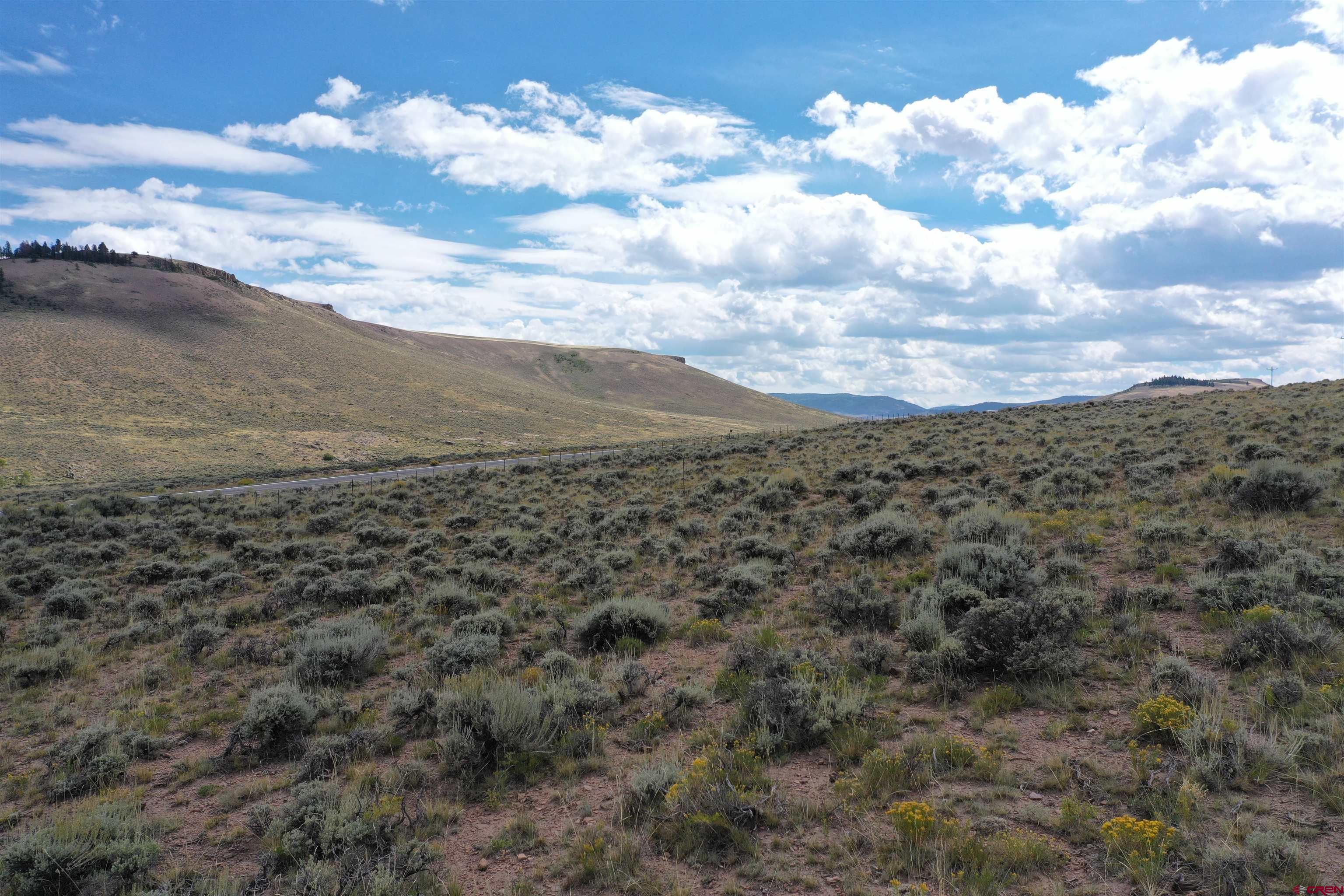 294 Spring Drive Gunnison, CO 81230 - Photo 6 of 15 a view of a big yard with lots of bushes