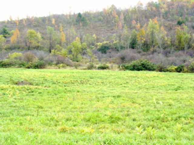 1 Stage Coach Road Sharon Springs, NY 13459 - Photo 1 of 2 Photo 1