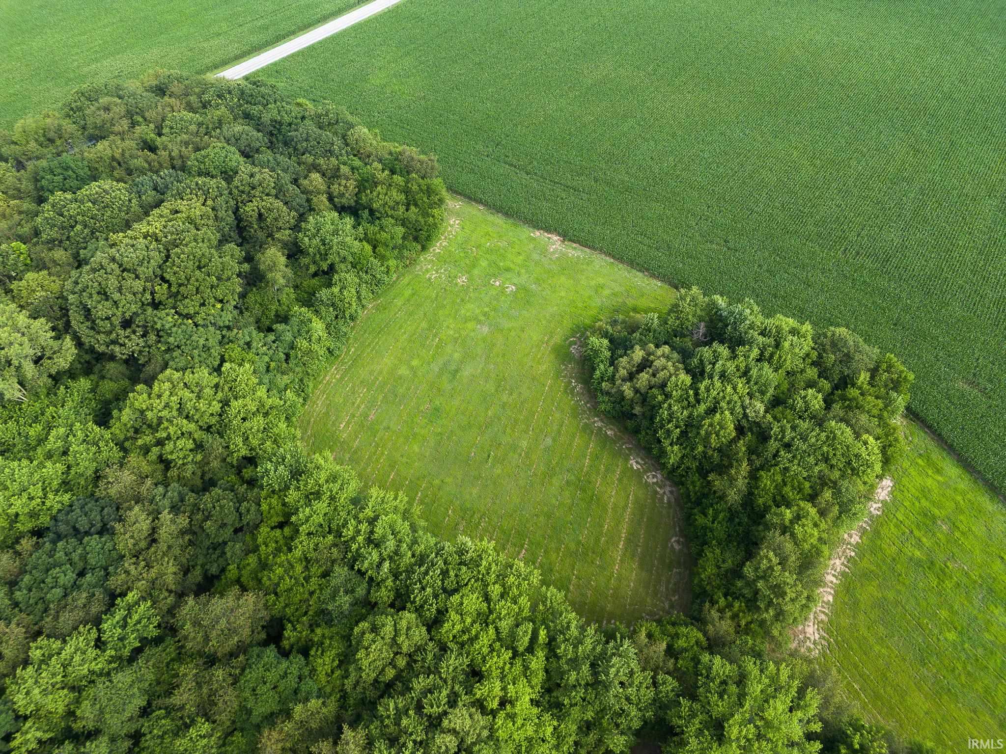 Lot 5 East 850 South Brookston, IN 47923 - Photo 6 of 14