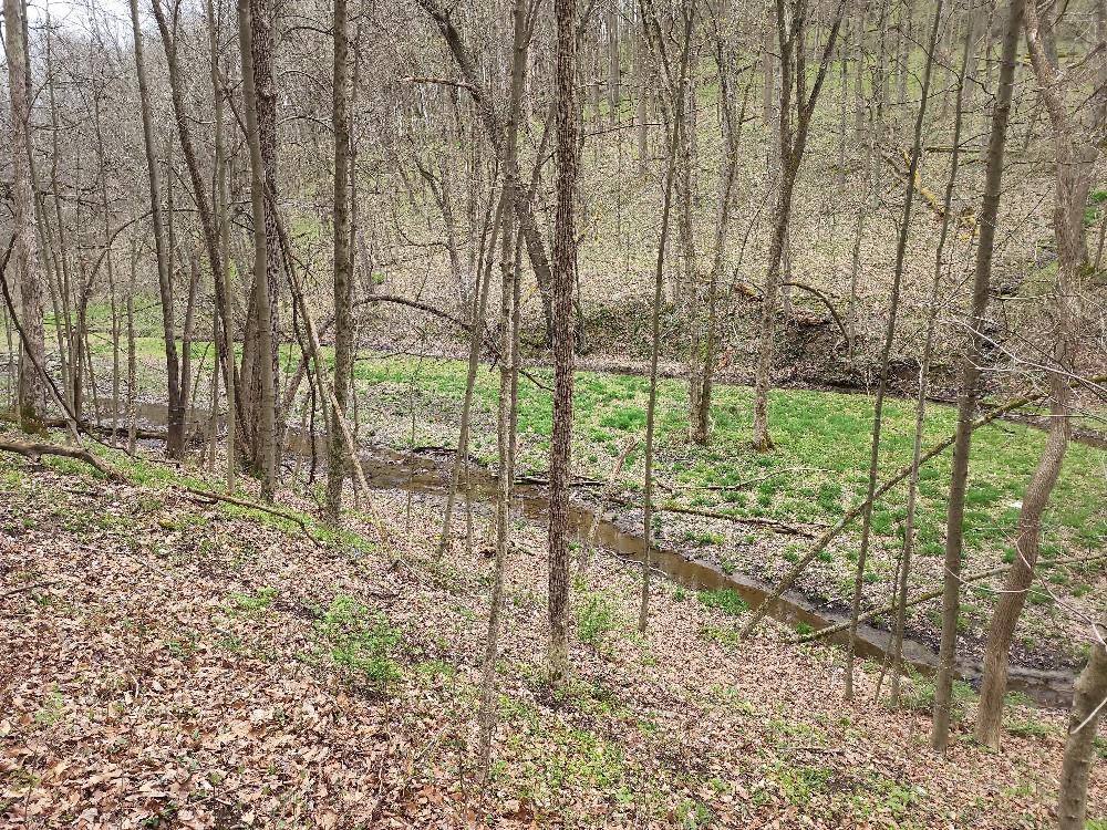 0 Gunn Hill Road Wind Ridge, PA 15380 - Photo 12 of 24 Gallery Image 12