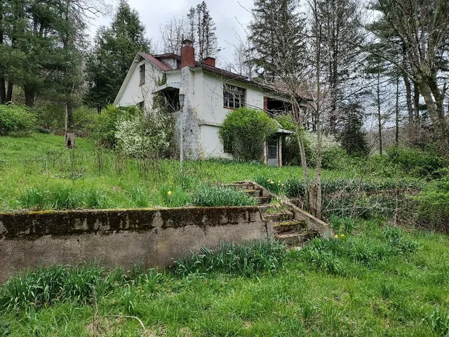 a view of a house with a yard and plants