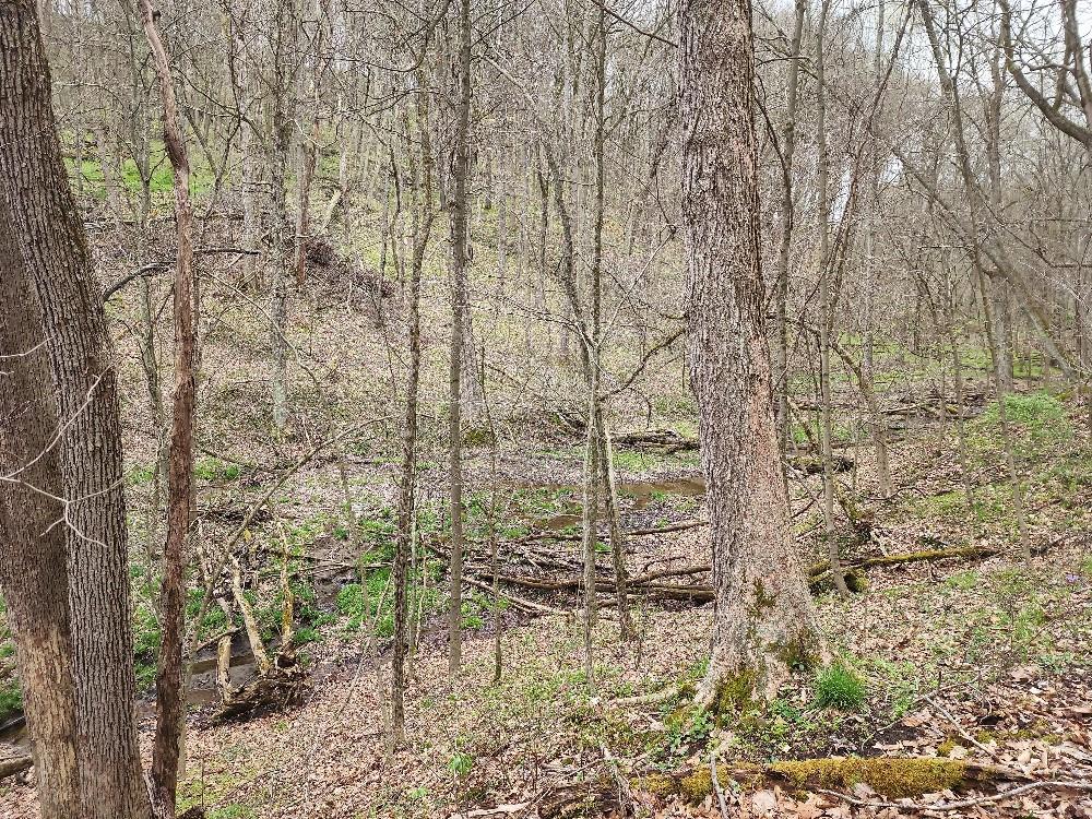 0 Gunn Hill Road Wind Ridge, PA 15380 - Photo 20 of 24 Gallery Image 20