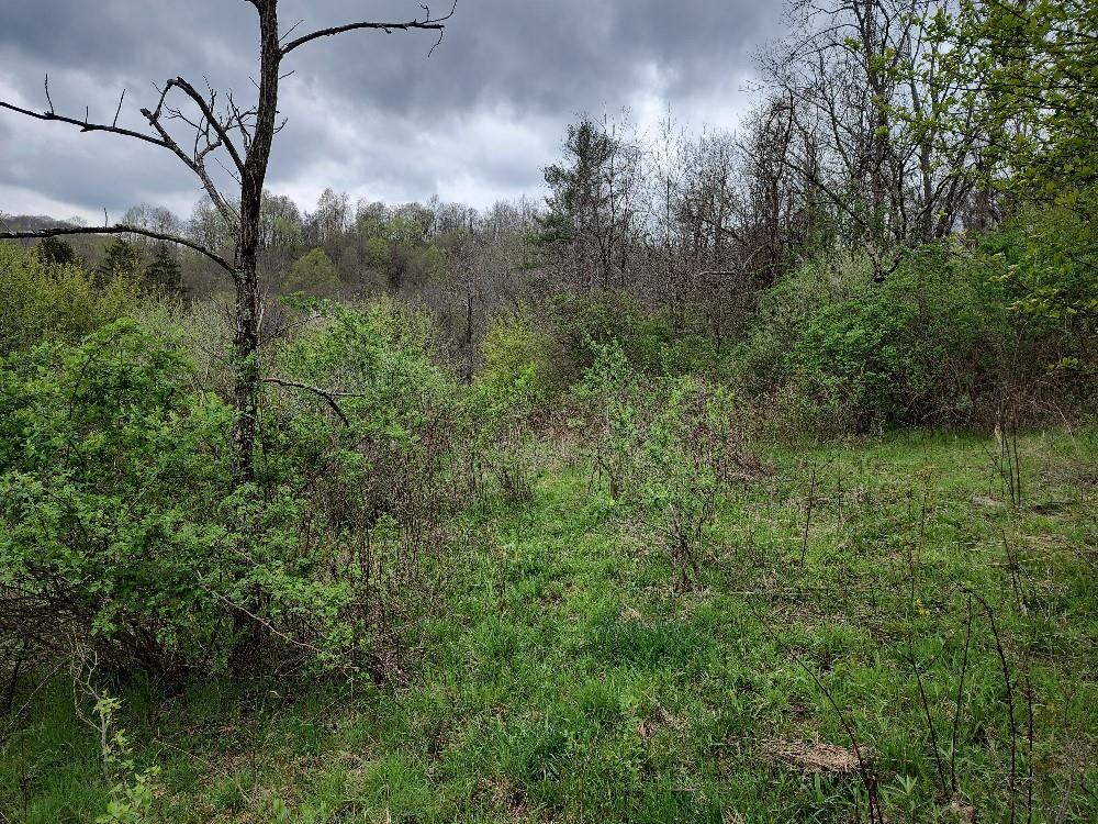 0 Gunn Hill Road Wind Ridge, PA 15380 - Photo 23 of 24 Gallery Image 23