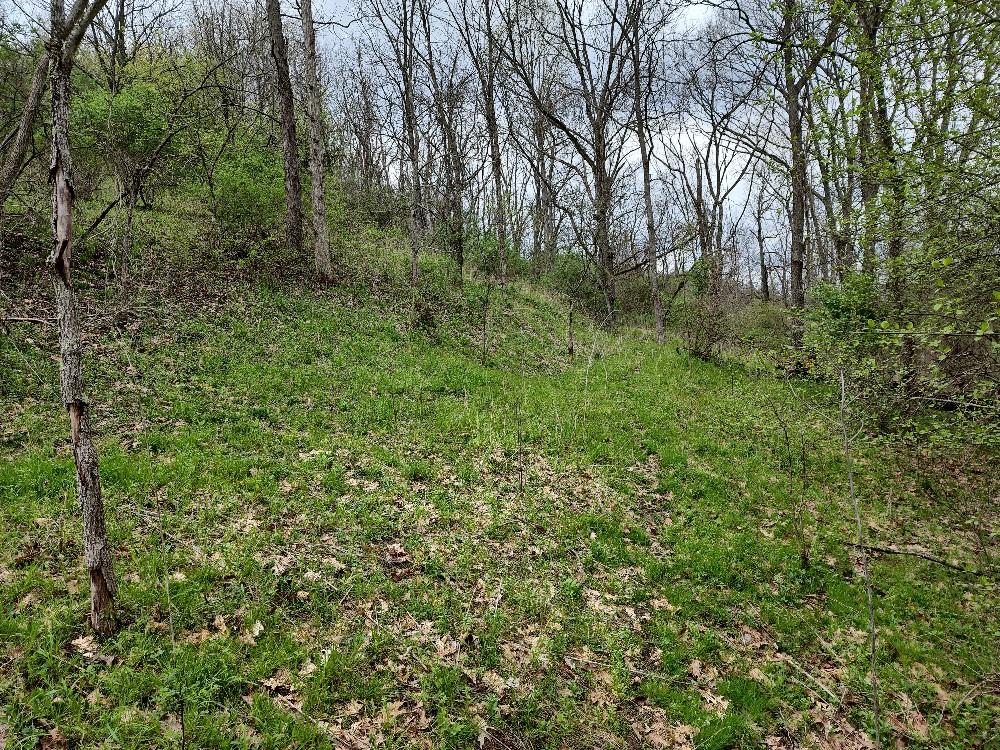 0 Gunn Hill Road Wind Ridge, PA 15380 - Photo 6 of 24 Gallery Image 6