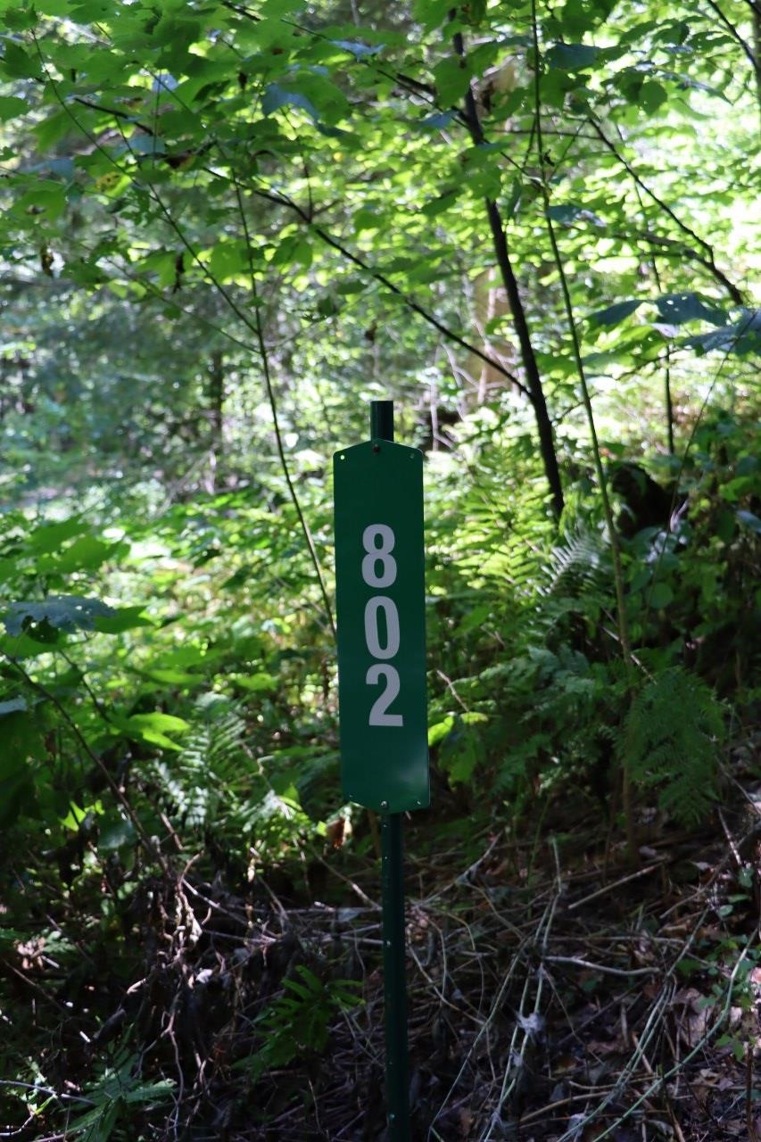 802 Perley Brown Road Cavendish, VT 05153 - Photo 14 of 16