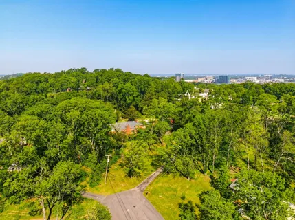 a view of a big yard with large trees