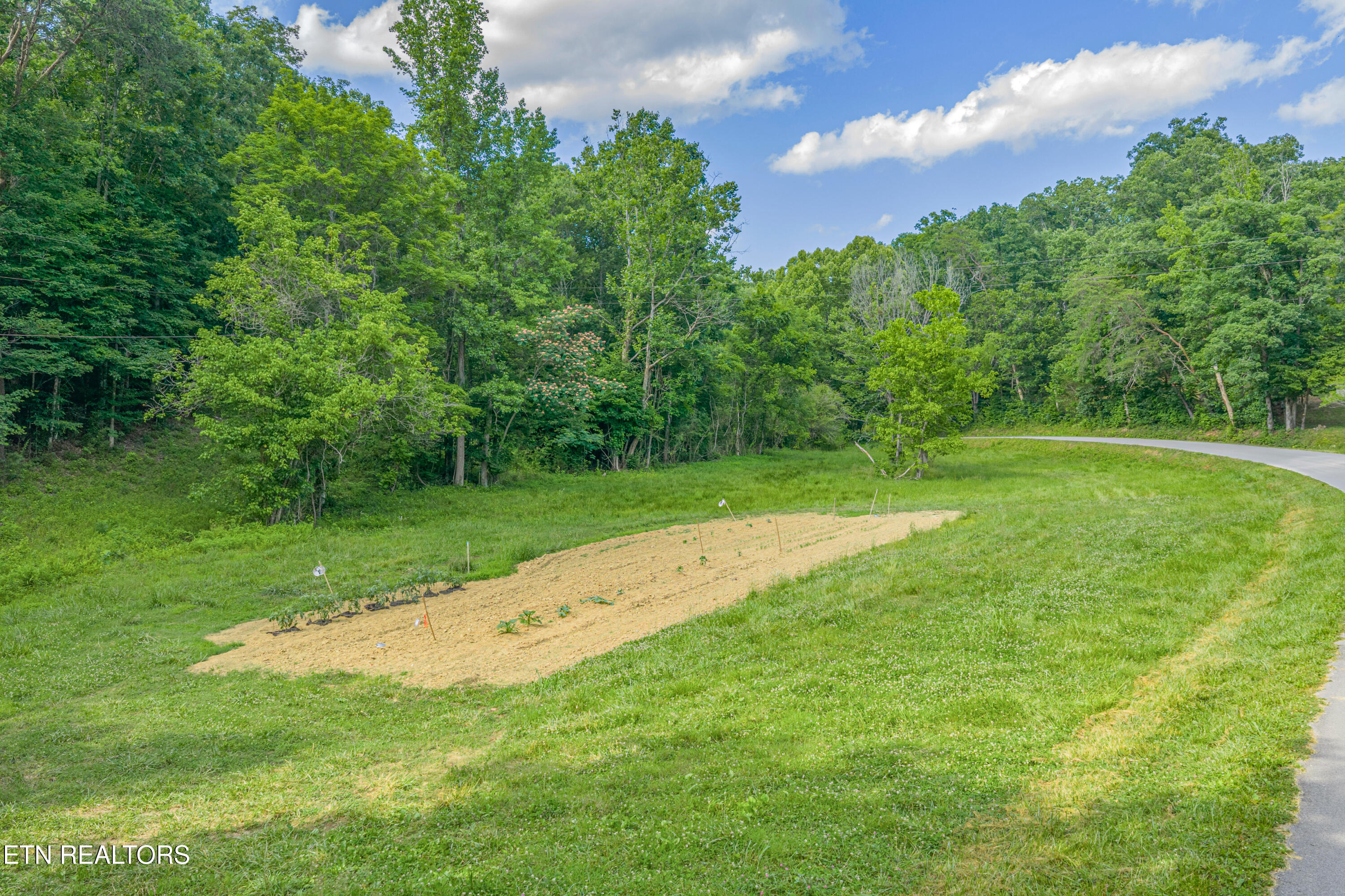Dark Hollow Road Andersonville, TN 37705 - Photo 2 of 21 21-print-Dark Hollow Road