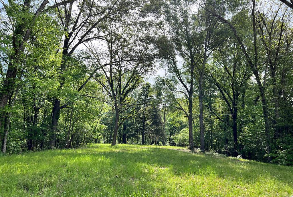 0 Guedon Road Natchez, MS 39120 - Photo 1 of 1 Main View