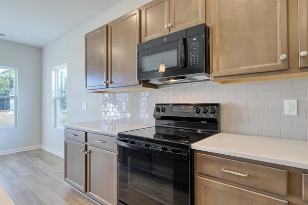 $294,900 | 1118 Hainer Place Drive, Conway, SC 29526