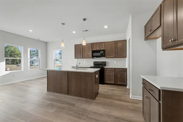 $294,900 | 1118 Hainer Place Drive, Conway, SC 29526